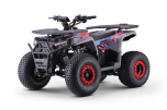 Quad pour enfants Beneo Motors WARRIOR Rouge - 125cc