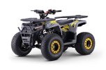 Quad pour enfants Beneo Motors WARRIOR Jaune - 125cc