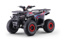 Quad pour enfants Beneo Motors WARRIOR Rouge - 125cc
