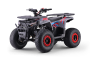 Quad pour enfants Beneo Motors WARRIOR Rouge - 125cc
