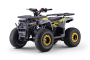 Quad pour enfants Beneo Motors WARRIOR Jaune - 125cc